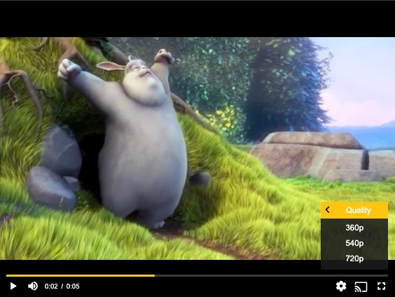 Customize quality selection Customize quality selection